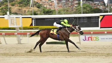 Entérese porqué Sandovalera es la reina del Clásico Cruz del Ávila en La Gala Hípica de Caracas