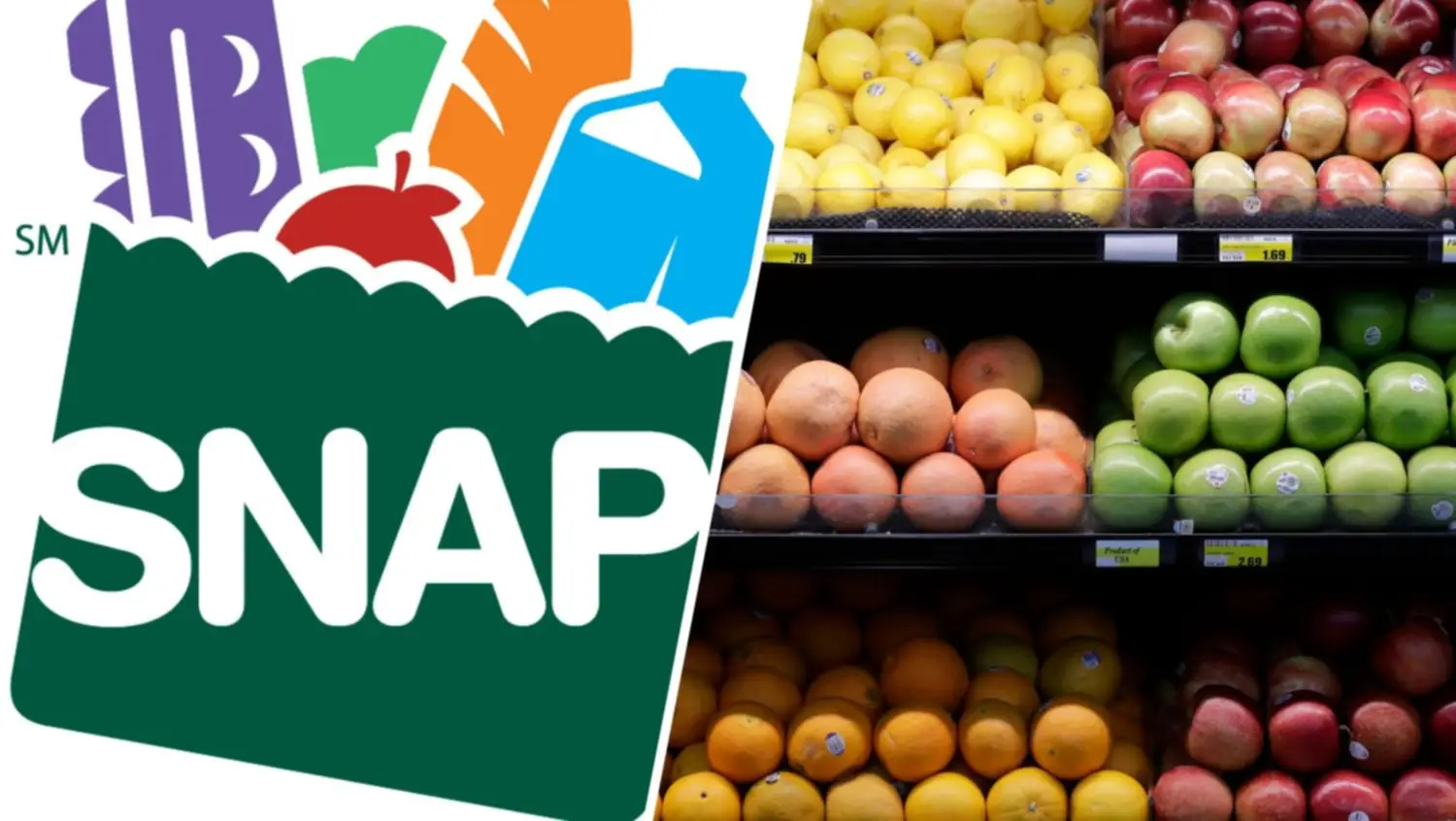 Programa SNAP Florida