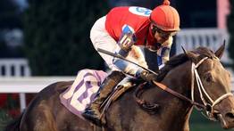 Gaceta Hípica trae dos especiales: el Travers Stakes y Gala de Caracas