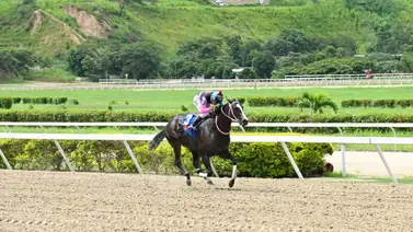 El Clásico Sprinters para yegua llegará a su edición 15 en la Gala Hípica de Caracas El Clásico Sprinters para yegua llegará a su edición 15 en la Gala Hípica de Caracas