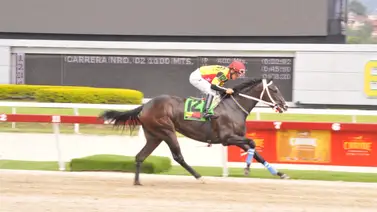 Clásico Julían Abdalá para potras llega este domingo a su cuarta edición en La Gala Hípica de Caracas Clásico Julían Abdalá para potras llega este domingo a su cuarta edición en La Gala Hípica de Caracas