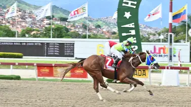 Clásico Internacional "Fundación de Propietarios Hipicos de Venezuela" llega a su sexta edición Clásico Internacional "Fundación de Propietarios Hipicos de Venezuela" llega a su sexta edición