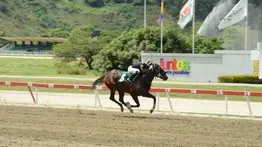 Fleet Street ante las criollas en el Clásico Internacional Sprinters para yeguas G2 en la Gala Hípica 