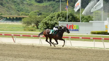 Fleet Street ante las criollas en el Clásico Internacional Sprinters para yeguas G2 en la Gala Hípica 