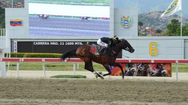 Cuatro importados por la gloria en la Copa Invitacional del Caribe G1 