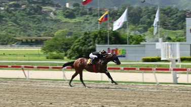 Perfect La Combee a defender su invicto en el Clásico Internacional Sprinters G1