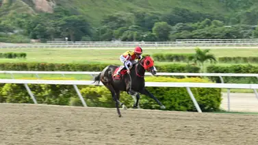 Fast Sensations por la gloria en el Clásico Internacional Cruz del Ávila G1 Fast Sensations por la gloria en el Clásico Internacional Cruz del Ávila G1