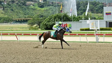 Bella del Cielo por su segunda selectiva como dosañera en el Clásico Julián Abdalá G3