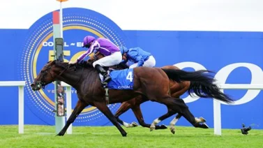 Delacroix regresa para buscar un cupo a la Breeders’ Cup Classic