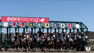 Jaramillo, Alvarado y Castellano van por un stakes de 200 mil dólares 