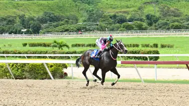 Por esta razón Robert Capriles es el señor de la Gala Hípica de Caracas Por esta razón Robert Capriles es el señor de la Gala Hípica de Caracas