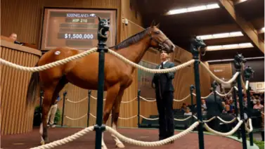 De esta manera hizo el debut la promisoria potra hija de Into Mischief que tuvo un costo de $1.5 millones De esta manera hizo el debut la promisoria potra hija de Into Mischief que tuvo un costo de $1.5 millones