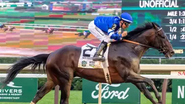 La Gaceta Hípica celebra la Gala de Caracas y TODO EL PROGRAMA TRAVERS STAKES La Gaceta Hípica celebra la Gala de Caracas y TODO EL PROGRAMA TRAVERS STAKES