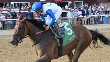 Mullikin vs Book’em Danno en el Forego Stakes (G1) lo que promete ser una carrera épica Mullikin vs Book’em Danno en el Forego Stakes (G1) lo que promete ser una carrera épica