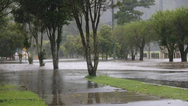 inameh 21 de agosto