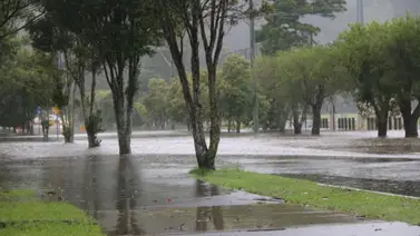 inameh 21 de agosto inameh 21 de agosto