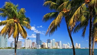 Clima en Miami Florida