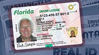 Florida: Requisito clave para conservar la validez de la Real ID Florida: Requisito clave para conservar la validez de la Real ID