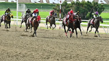  Favoritos de la cátedra para el 5y6 Nacional de la reunión N°32 en el hipódromo La Rinconada 