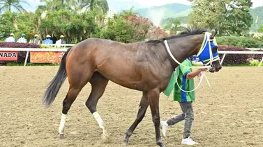 El secreto para ganar el 5y6 de la R32 se encuentra en el ajuste cómodo de la línea de Gaceta Hípica El secreto para ganar el 5y6 de la R32 se encuentra en el ajuste cómodo de la línea de Gaceta Hípica