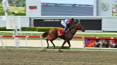 Datos de Última Hora para el Hipódromo La Rinconada 24-8-2025 Datos de Última Hora para el Hipódromo La Rinconada 24-8-2025