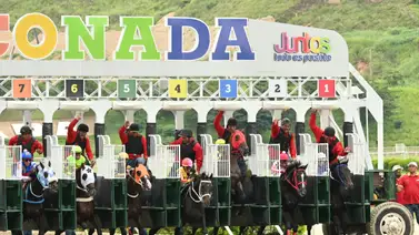 Se revela el ajuste de la sorpresa de Gaceta Hípica que será la clave para ganar la Gala Hípica de Caracas Se revela el ajuste de la sorpresa de Gaceta Hípica que será la clave para ganar la Gala Hípica de Caracas