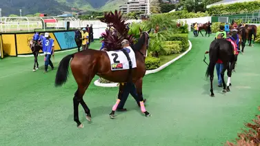 Olvídate de Sweet Charming y Jenifer Daniela: Este batacazo podría darte una alegría tempranera en La Rinconada Olvídate de Sweet Charming y Jenifer Daniela: Este batacazo podría darte una alegría tempranera en La Rinconada