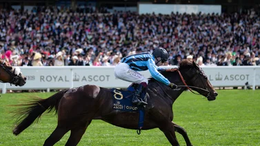 Asfoora derrochó clase tras ganar su pase la Breeders’ Cup Turf Sprint