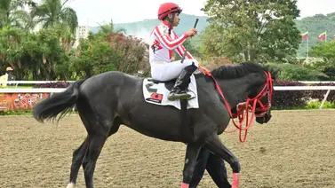 Este ejemplar de Rafael Cartolano consiguió uno de los mejores ajustes para buscar la gloria en la Gala Hípica de Caracas Este ejemplar de Rafael Cartolano consiguió uno de los mejores ajustes para buscar la gloria en la Gala Hípica de Caracas