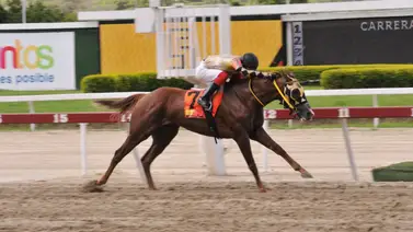 La clave del éxito: Lo que debes saber del "dato de los vivitos" en La Rinconada La clave del éxito: Lo que debes saber del "dato de los vivitos" en La Rinconada