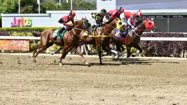 A esta hora te revelamos el dato más corrido que participa en la carrera de los acumulados del 5y6 A esta hora te revelamos el dato más corrido que participa en la carrera de los acumulados del 5y6