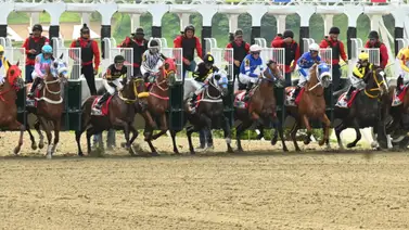 Lo que todos esperan: En la tercera válida para el 5y6 corre el "robo de toda Venezuela" Lo que todos esperan: En la tercera válida para el 5y6 corre el "robo de toda Venezuela"