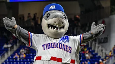 LVBP: Tiburones de La Guaira anunció fecha para la venta de abonos