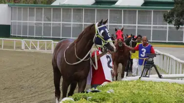 El 5y6 en La Rinconada sufre su primer retirado de la reunión 32 El 5y6 en La Rinconada sufre su primer retirado de la reunión 32