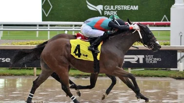 El aprendiz Yolbert Torres le gana el duelo a Edgar Zayas en la cuarta carrera de Gulfstream Park