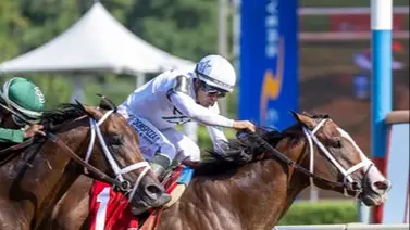 Patch Adams gana el H. Allen Jerkens Memorial Stakes (G1) en final cerrado Patch Adams gana el H. Allen Jerkens Memorial Stakes (G1) en final cerrado
