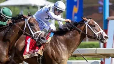 Patch Adams gana el H. Allen Jerkens Memorial Stakes (G1) en final cerrado Patch Adams gana el H. Allen Jerkens Memorial Stakes (G1) en final cerrado