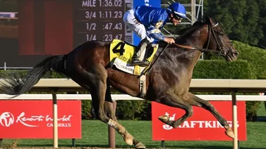 Mira lo que logra Sovereignty con la victoria del Travers Stakes (GI) 