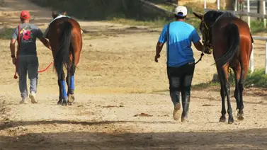 Entérate del ejemplar retirado de la reunión 32 en La Rinconada 24-08-2025 Entérate del ejemplar retirado de la reunión 32 en La Rinconada 24-08-2025