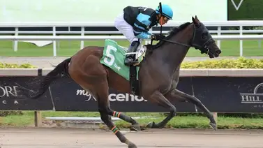 Nueva victoria de Emisael Jaramillo en la jornada de este sábado en Gulfstream Park Nueva victoria de Emisael Jaramillo en la jornada de este sábado en Gulfstream Park