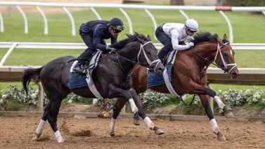 Journalism confirmado para el clásico del Pacifico el sábado en Del Mar Journalism confirmado para el clásico del Pacifico el sábado en Del Mar