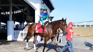 Mychel Sánchez muy cerca de lograr esta hazaña luego de su triplete en Colonial Downs 