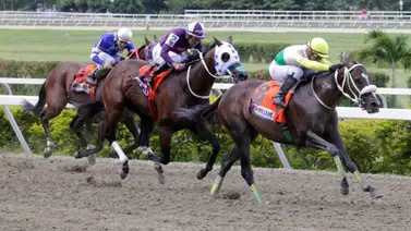 Luego de cruzar la meta en ganancia en una de las pruebas selectivas de la gala hípica jinete profesional es sancionado Luego de cruzar la meta en ganancia en una de las pruebas selectivas de la gala hípica jinete profesional es sancionado