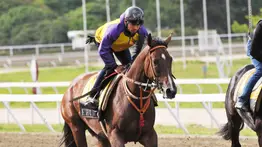 Robert Capriles es el primer jockey que alcanza esta cantidad de victorias en Gala Hípica de Caracas
