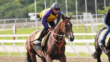 Robert Capriles es el primer jockey que alcanza esta cantidad de victorias en Gala Hípica de Caracas Robert Capriles es el primer jockey que alcanza esta cantidad de victorias en Gala Hípica de Caracas