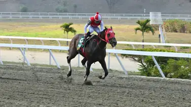 Tuco Salamanca fuera de acción por una fuerte lesión Tuco Salamanca fuera de acción por una fuerte lesión