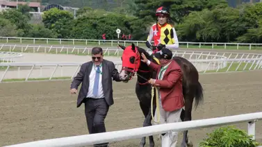 Fast Sensations: La victoria que hizo historia en el Clásico Internacional “Cruz del Ávila” (GI) Fast Sensations: La victoria que hizo historia en el Clásico Internacional “Cruz del Ávila” (GI)