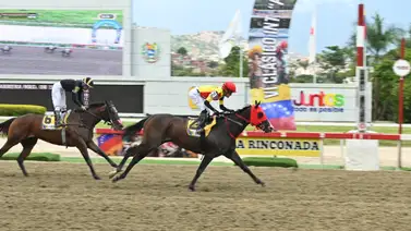 Fast Sensations iguala a Jorge Zeta en la historia de la Gala Hípica de Caracas Fast Sensations iguala a Jorge Zeta en la historia de la Gala Hípica de Caracas