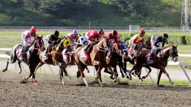 El segundo meeting llega a su fin con la celebración de la reunión 33 en La Rinconada El segundo meeting llega a su fin con la celebración de la reunión 33 en La Rinconada