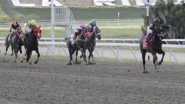 Mira la noticia que dio el Superintendente de Actividades Hípicas Antonio Álvarez sobre la cría nacional Mira la noticia que dio el Superintendente de Actividades Hípicas Antonio Álvarez sobre la cría nacional